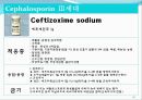 [약리학] 항생제, penicillin, Cephaloshorin, 항균제, Cephalosporin 1세대, Cephalosporin 2세대, Cephalosporin 3세대, 93페이지