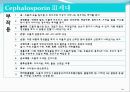 [약리학] 항생제, penicillin, Cephaloshorin, 항균제, Cephalosporin 1세대, Cephalosporin 2세대, Cephalosporin 3세대, 94페이지