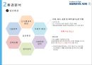 대한항공 기업분석과 환경분석및 대한항공 조직분석및 조직구조 개편사례분석과 대한항공 향후전략제안 PPT 7페이지