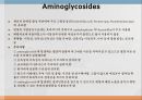 [약리학] 항균제, 항생제, 항균제, 항결핵제, 항진균제, Anticirals제, 항기생충약물, vancomycin, penicillin, cephalosporin 12페이지