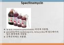 [약리학] 항균제, 항생제, 항균제, 항결핵제, 항진균제, Anticirals제, 항기생충약물, vancomycin, penicillin, cephalosporin 16페이지