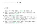 [간호이론]뉴만이론, Margaret . A. Newman 24페이지