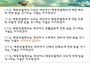 [건강증진이론] 합리적 행위이론 19페이지