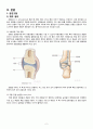 퇴행성 관절염(Degenerative Arthritis) 4페이지