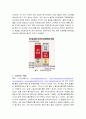 (주)시선 미래 발전전략 연구보고서-안경제조업체 3페이지