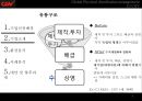 CGV 환경분석(SWOT,4P,STP)과 유통구조와 대안 및 향후과제 9페이지
