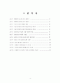 가로등 디자인을 활용한 에너지 절약형 도시환경 개선 연구 4페이지