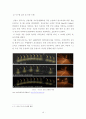 가로등 디자인을 활용한 에너지 절약형 도시환경 개선 연구 14페이지