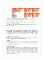 성인간호학 전립선암(Malignant neoplasm of prostate) Case study 5페이지