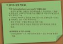 [노인간호학] 노인과성, 노인의 성과간호, 노화가 노인의 성에 미치는 영향, 성기능 장애와 간호 15페이지