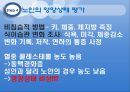 [노인간호학] 노인과영양, 노인의영양요규량, 노인영양에 영향을 미치는 요인, 노인영양과 관련된 건강문제, 노인의 영양상태 평가 15페이지