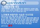 [노인간호학] 노인과영양, 노인의영양요규량, 노인영양에 영향을 미치는 요인, 노인영양과 관련된 건강문제, 노인의 영양상태 평가 16페이지