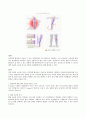 DVT 성인간호 문헌고찰 (질병보고서) 4페이지