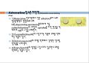 자율신경계에 작용하는 약물, 자율신경계의 개념, 자율신경계의 분류, 자율신경계의 생리, 교감신경 흥분약, α-adrenalline 약, 교감신경 억제약, β-adrenaline 약 21페이지