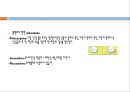 자율신경계에 작용하는 약물, 자율신경계의 개념, 자율신경계의 분류, 자율신경계의 생리, 교감신경 흥분약, α-adrenalline 약, 교감신경 억제약, β-adrenaline 약 24페이지