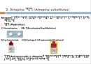 자율신경계에 작용하는 약물, 자율신경계의 개념, 자율신경계의 분류, 자율신경계의 생리, 교감신경 흥분약, α-adrenalline 약, 교감신경 억제약, β-adrenaline 약 28페이지