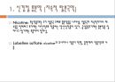 자율신경계에 작용하는 약물, 자율신경계의 개념, 자율신경계의 분류, 자율신경계의 생리, 교감신경 흥분약, α-adrenalline 약, 교감신경 억제약, β-adrenaline 약 33페이지