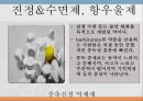 중추신경계약물, 항불안제, 우울증약, 항경련약, 파킨슨약, 약물남용, 항불안, 우울증, 항경련, 파킨슨, Diazepam, Chlordiazepoxide, Alprazolam, L 61페이지