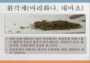 중추신경계약물, 항불안제, 우울증약, 항경련약, 파킨슨약, 약물남용, 항불안, 우울증, 항경련, 파킨슨, Diazepam, Chlordiazepoxide, Alprazolam, L 62페이지