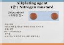 항암제, 항암제에 대한 이해, 알킬화제, 대사저하제, 항새제로서 항암제, Vinca Alkaloids, Hormone, Hormone의길항제, 기타항암 16페이지