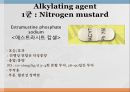 항암제, 항암제에 대한 이해, 알킬화제, 대사저하제, 항새제로서 항암제, Vinca Alkaloids, Hormone, Hormone의길항제, 기타항암 17페이지