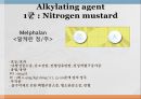 항암제, 항암제에 대한 이해, 알킬화제, 대사저하제, 항새제로서 항암제, Vinca Alkaloids, Hormone, Hormone의길항제, 기타항암 19페이지