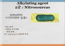 항암제, 항암제에 대한 이해, 알킬화제, 대사저하제, 항새제로서 항암제, Vinca Alkaloids, Hormone, Hormone의길항제, 기타항암 21페이지