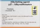 항암제, 항암제에 대한 이해, 알킬화제, 대사저하제, 항새제로서 항암제, Vinca Alkaloids, Hormone, Hormone의길항제, 기타항암 23페이지