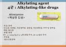 항암제, 항암제에 대한 이해, 알킬화제, 대사저하제, 항새제로서 항암제, Vinca Alkaloids, Hormone, Hormone의길항제, 기타항암 24페이지