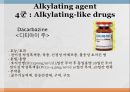 항암제, 항암제에 대한 이해, 알킬화제, 대사저하제, 항새제로서 항암제, Vinca Alkaloids, Hormone, Hormone의길항제, 기타항암 25페이지