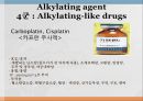 항암제, 항암제에 대한 이해, 알킬화제, 대사저하제, 항새제로서 항암제, Vinca Alkaloids, Hormone, Hormone의길항제, 기타항암 26페이지