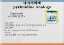 항암제, 항암제에 대한 이해, 알킬화제, 대사저하제, 항새제로서 항암제, Vinca Alkaloids, Hormone, Hormone의길항제, 기타항암 28페이지