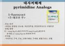 항암제, 항암제에 대한 이해, 알킬화제, 대사저하제, 항새제로서 항암제, Vinca Alkaloids, Hormone, Hormone의길항제, 기타항암 29페이지