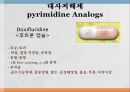 항암제, 항암제에 대한 이해, 알킬화제, 대사저하제, 항새제로서 항암제, Vinca Alkaloids, Hormone, Hormone의길항제, 기타항암 30페이지