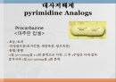 항암제, 항암제에 대한 이해, 알킬화제, 대사저하제, 항새제로서 항암제, Vinca Alkaloids, Hormone, Hormone의길항제, 기타항암 31페이지