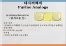 항암제, 항암제에 대한 이해, 알킬화제, 대사저하제, 항새제로서 항암제, Vinca Alkaloids, Hormone, Hormone의길항제, 기타항암 32페이지
