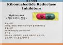 항암제, 항암제에 대한 이해, 알킬화제, 대사저하제, 항새제로서 항암제, Vinca Alkaloids, Hormone, Hormone의길항제, 기타항암 34페이지
