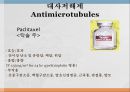 항암제, 항암제에 대한 이해, 알킬화제, 대사저하제, 항새제로서 항암제, Vinca Alkaloids, Hormone, Hormone의길항제, 기타항암 35페이지