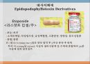 항암제, 항암제에 대한 이해, 알킬화제, 대사저하제, 항새제로서 항암제, Vinca Alkaloids, Hormone, Hormone의길항제, 기타항암 37페이지