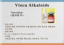 항암제, 항암제에 대한 이해, 알킬화제, 대사저하제, 항새제로서 항암제, Vinca Alkaloids, Hormone, Hormone의길항제, 기타항암 49페이지