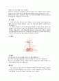 위장관계 구조와 기능 2페이지