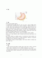 위장관계 구조와 기능 3페이지
