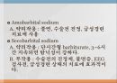 중추신경게약물, 진통제, 항염제, 진정수면제, 항정신병약, 아편 알칼로이드, 비스테로이드성항염제, 정신병치료제 28페이지