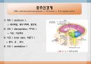 중추신경계약물, 중추신경계약, 항불안제, 항우울제, 항경련제, 항파킨슨약, 중추신경흥분제, 남용약물 3페이지