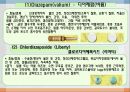 중추신경계약물, 중추신경계약, 항불안제, 항우울제, 항경련제, 항파킨슨약, 중추신경흥분제, 남용약물 8페이지