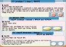 중추신경계약물, 중추신경계약, 항불안제, 항우울제, 항경련제, 항파킨슨약, 중추신경흥분제, 남용약물 46페이지