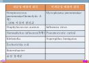 폐렴, 폐렴정의, 폐렴분류, 폐렴병태생리, 폐렴빈도, 폐렴위험요인, 폐렴증상, 폐렴치료, 폐렴합병증, 폐렴예후, 폐렴 케이스스터디, ICU Case Study, Pneumonia, 14페이지