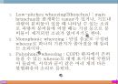 폐렴, 폐렴정의, 폐렴분류, 폐렴병태생리, 폐렴빈도, 폐렴위험요인, 폐렴증상, 폐렴치료, 폐렴합병증, 폐렴예후, 폐렴 케이스스터디, ICU Case Study, Pneumonia, 31페이지