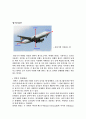 양력의 발생원리 1페이지