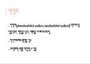 마취간호(전신마취,국소마취, 척추마취, 경막외마취) 5페이지